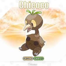 chicoco  