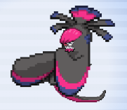 Skunkus Skunkus