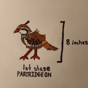 Partrigeon (1st stage fakemon)