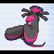 Skunkus